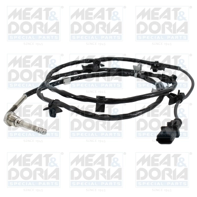 Sensor, exhaust gas temperature